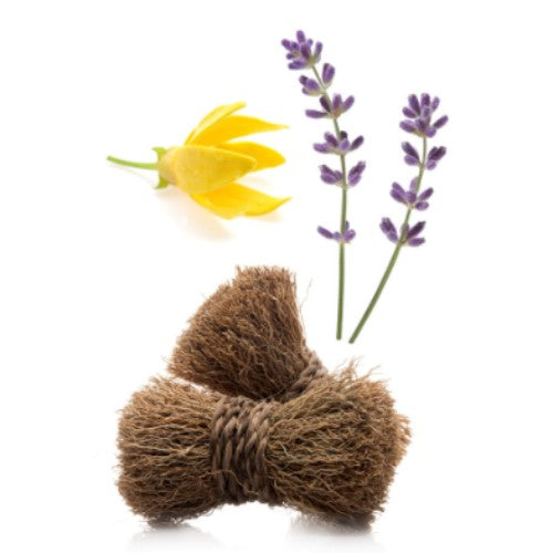 dōTERRA Peace® Reassuring Blend - 5ml